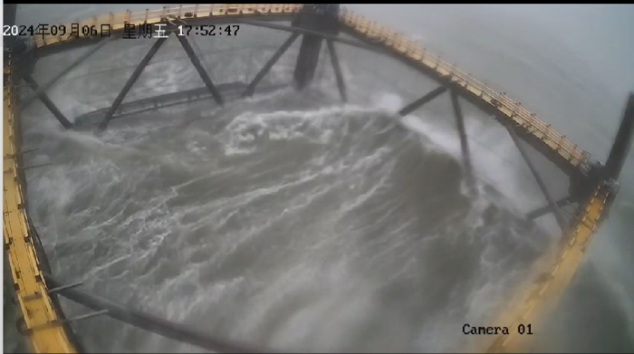 堅如磐石！公司網(wǎng)箱以硬實力抵御17級臺風(fēng)，憑技術(shù)創(chuàng)新力保養(yǎng)殖安全